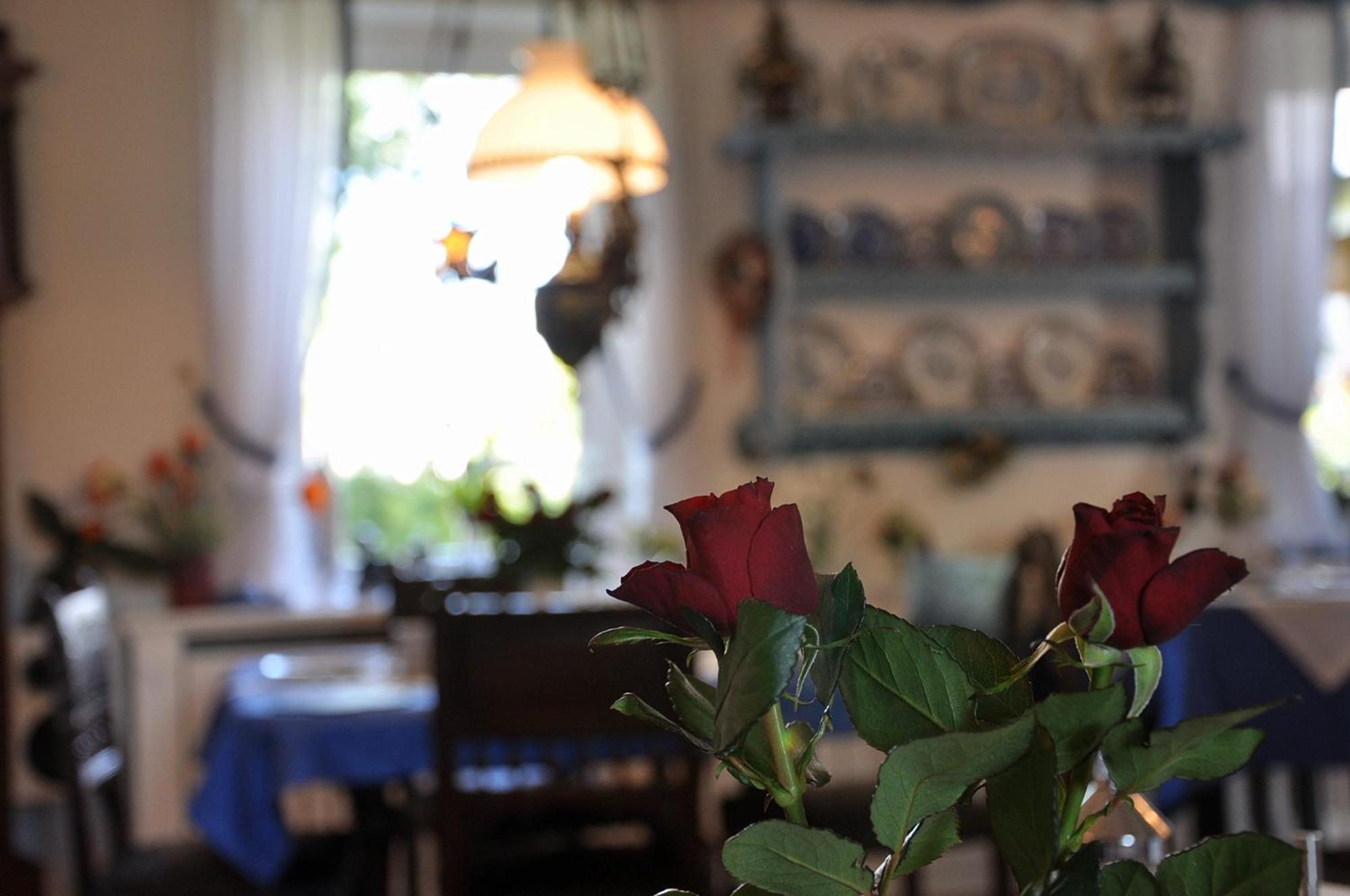 Inselhotel Arfsten Wyk auf Föhr エクステリア 写真